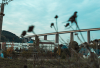 mein Foto zeigt die Siegtalbrücke. Die Aufnahme ist nahe des Industriegebiets Marienhütte entstanden